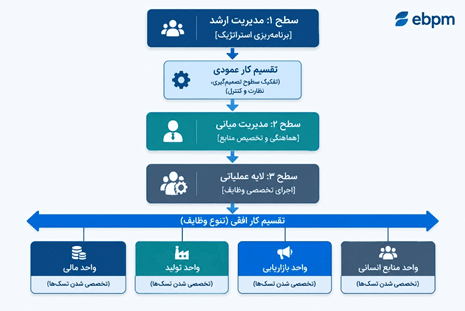 انواع تقسیم کار در مدیریت